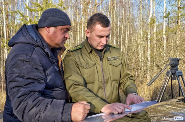 Війна за десятки гектарів лісу: на Волині рубають дерева, які усі сторони конфлікту вважають «своїми»