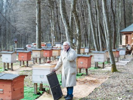 «Історії довкола лісу» і секрети бджолярства від волинського пасічника