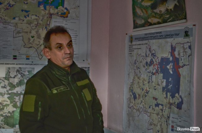 Війна за десятки гектарів лісу: на Волині рубають дерева, які усі сторони конфлікту вважають «своїми»