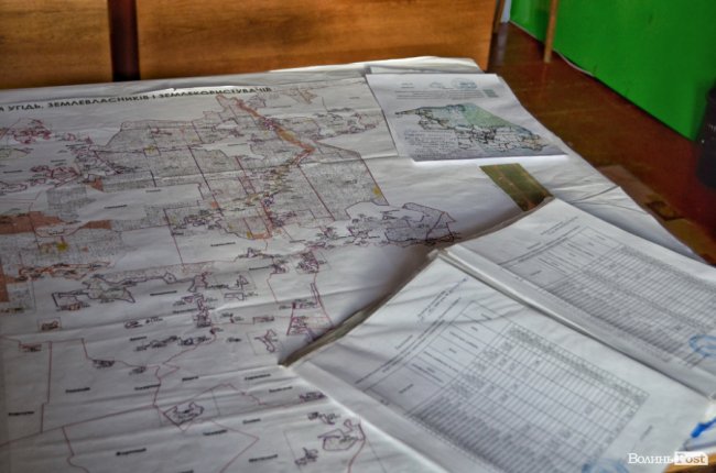 Війна за десятки гектарів лісу: на Волині рубають дерева, які усі сторони конфлікту вважають «своїми»