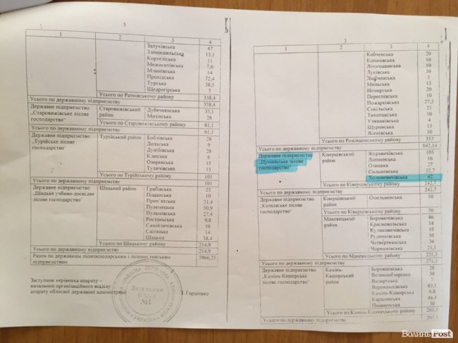 Війна за десятки гектарів лісу: на Волині рубають дерева, які усі сторони конфлікту вважають «своїми»