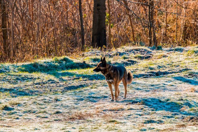 Луцьк в останній осінній день. ФОТОРЕПОРТАЖ