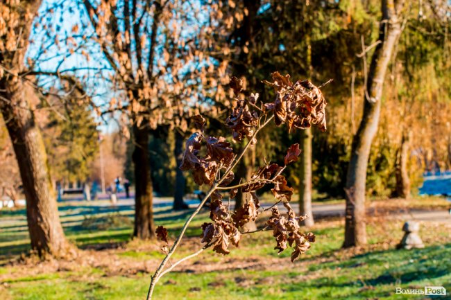 Луцьк в останній осінній день. ФОТОРЕПОРТАЖ