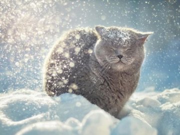 Похмуро і морозно: погода у Луцьку на понеділок, 21 січня