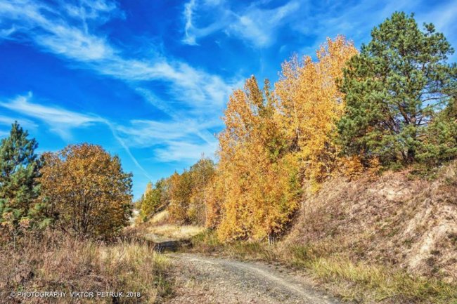 Чарівна осінь на Базальтових стовпах: світлини волинського фотографа