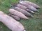 Сапери за добу знищили 18 застарілих боєприпасів,  які волиняни знайшли в лісі