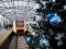 Новий рік у поїзді зустрічатимуть майже 17 тисяч пасажирів