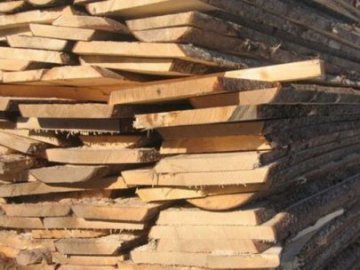 Чиновники пояснили, як проґавили деревину на ремонт школи