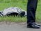 У львівському парку знайшли тіло 23-річного хлопця