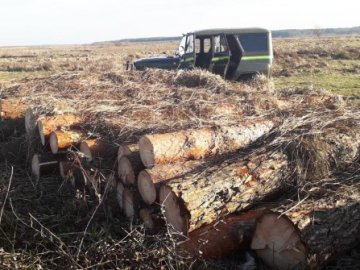 Волинські лісівники знайшли крадену деревину в одному із приватних будинків