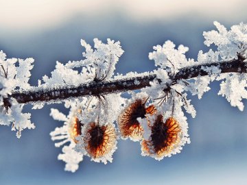 Погода в Луцьку та Волинській області на вівторок, 4 лютого