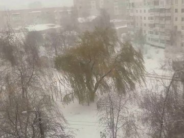 Погода в Луцьку та Волинській області на вихідні, 17 і 18 березня