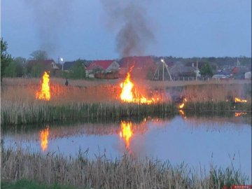 Біля озера на Волині підпалили суху траву. ФОТО