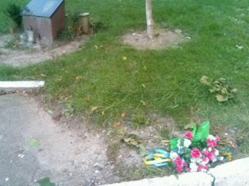 У Володимирі вандали поглумилися над дошкою пам'яті загиблого Героя