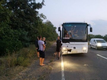 Рівняни поверталися з відпочинку: рейсовий автобус потрапив у ДТП. ФОТО