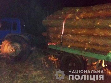 У Ковельському районі затримали вантажівку і трактор, якими вивозили незаконний ліс. ФОТО