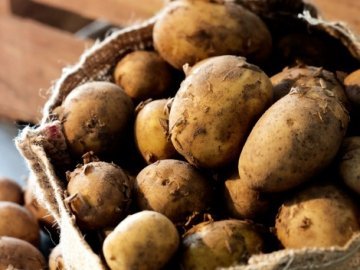 Білорусь зняла обмеження на ввезення української картоплі