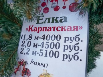 В окупованому Криму продають українські ялинки
