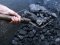Волинські шахти за минулий місяць видобули 8 тисяч тонн вугілля