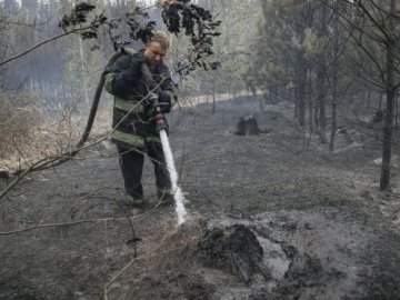 Наслідки масштабної пожежі біля Києва. ВІДЕО