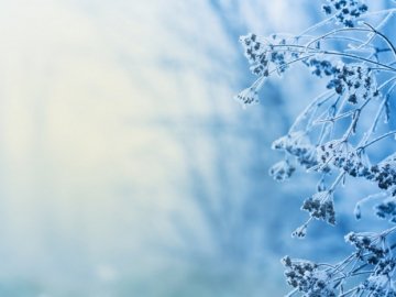 Погода в Луцьку та Волинській області на вихідні, 28 і 29 січня