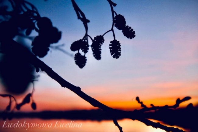 Захід сонця на Шацьких озерах: волинська фотографка опублікувала яскраві світлини