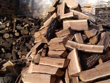 Як придбати паливні дрова у волинських лісівників. КОНТАКТИ
