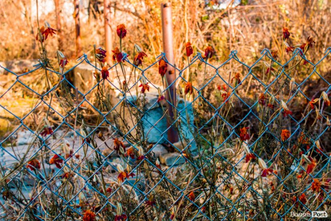 Луцьк в останній осінній день. ФОТОРЕПОРТАЖ