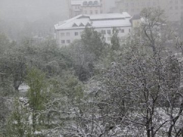 Погода в Луцьку та Волинській області на вівторок, 29 листопада
