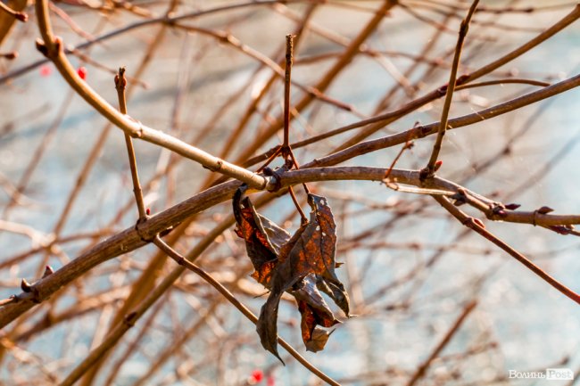 Луцьк в останній осінній день. ФОТОРЕПОРТАЖ