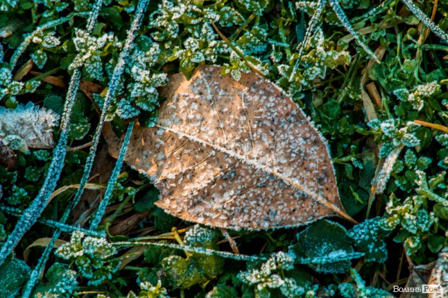 Луцьк в останній осінній день. ФОТОРЕПОРТАЖ