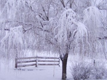 Погода в Луцьку та Волинській області на п’ятницю, 22  січня