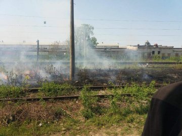 Знову суха трава: у Луцьку ледь не спалахнула пожежа. ФОТО