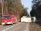 У Польщі сталась смертельна аварія за участі буса і легковика: один українець загинув, інший – в лікарні