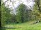 Суцільні чагарники: у Луцьку візьмуться за ботанічний сад на Шопена
