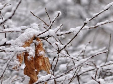 Погода в Луцьку та Волинській області на вихідні, 10 і 11 лютого
