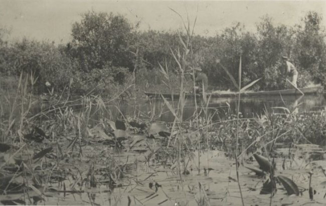 Поліська Амазонка на фото 1936 року