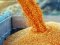 Працівницю зерносховища на Волині викрили на махінації із пшеницею на 1,3 мільйона гривень