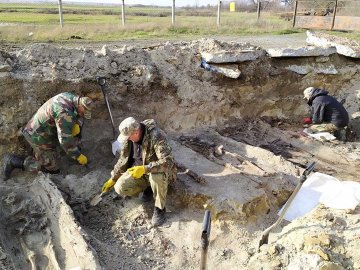 На Рівненщині знайшли братську могилу вояків УПА, розстріляних НКВС. ФОТО
