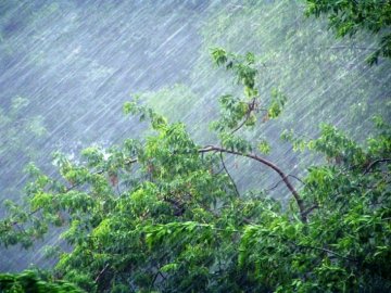 Волинян попереджають про сильні зливи 