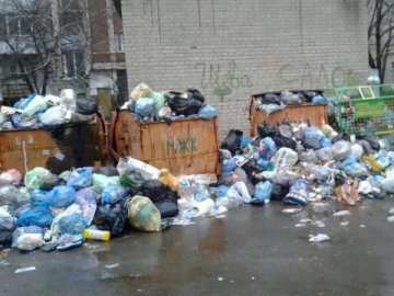 Флешмоб у Луцьку: принесіть сміття «комунальникам» 