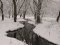 Волинський фотограф показав неймовірну природу Волині у різні пори року. ФОТО