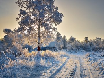 Погода в Луцьку та Волинській області на середу, 24 січня