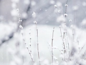 Погода в Луцьку та Волинській області на п’ятницю, 17 січня