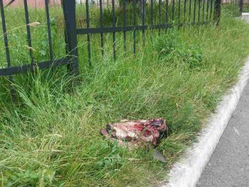 В Луцьку посеред вулиці - рештки мертвих телят. ФОТО 18+