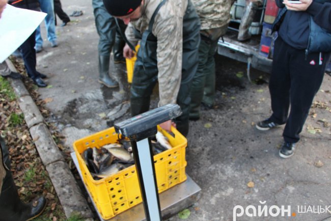 У озеро на Волині випустили майже тонну коропа. ФОТО