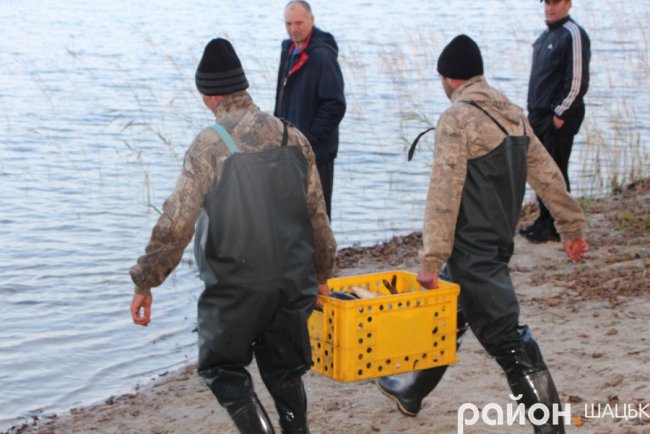У озеро на Волині випустили майже тонну коропа. ФОТО