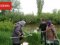 Екологи перевіряють воду з річки Стир. ВІДЕО