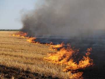 Браконьєрство, спалювання сухої трави: понад пів сотні волинян оштрафували за екопорушення