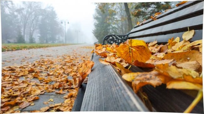 Моторошний луцький парк у полоні туману. ФОТО